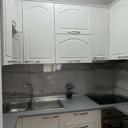 Apartament Modern For Rent In Tirana