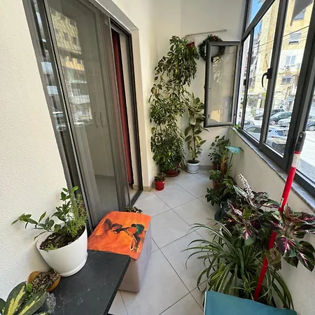 Modern For Rent In Apartman Tirana